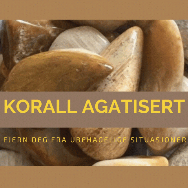 Hovedbilde Korall Agatisert