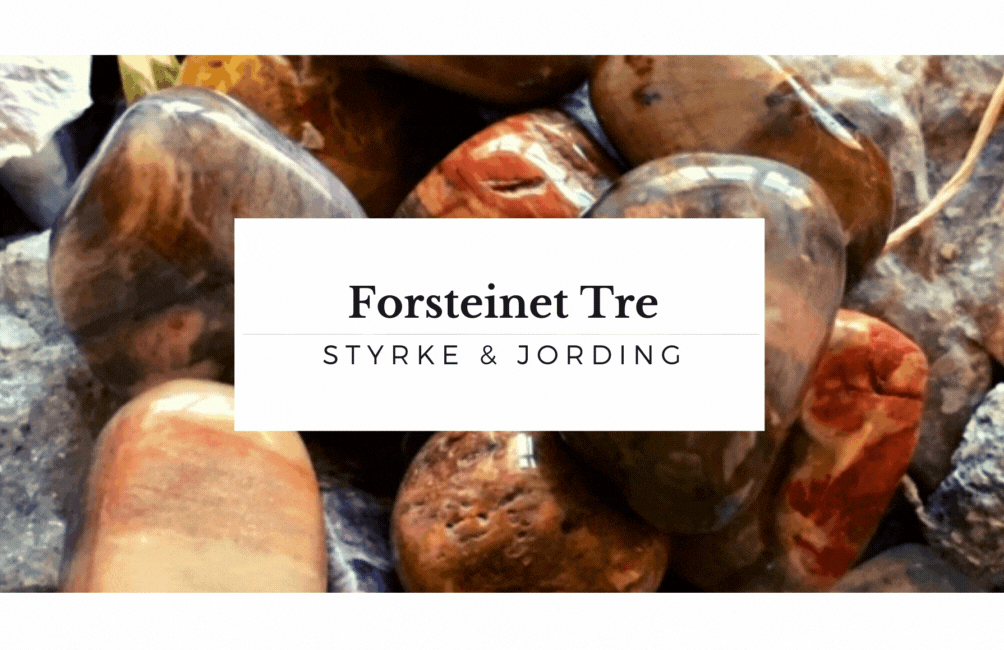 Hovedbilde Forsteinet Tre Lotus Anheng