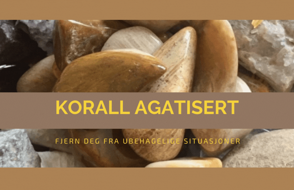 Hovedbilde Armbånd Korall Agatisert 6mm