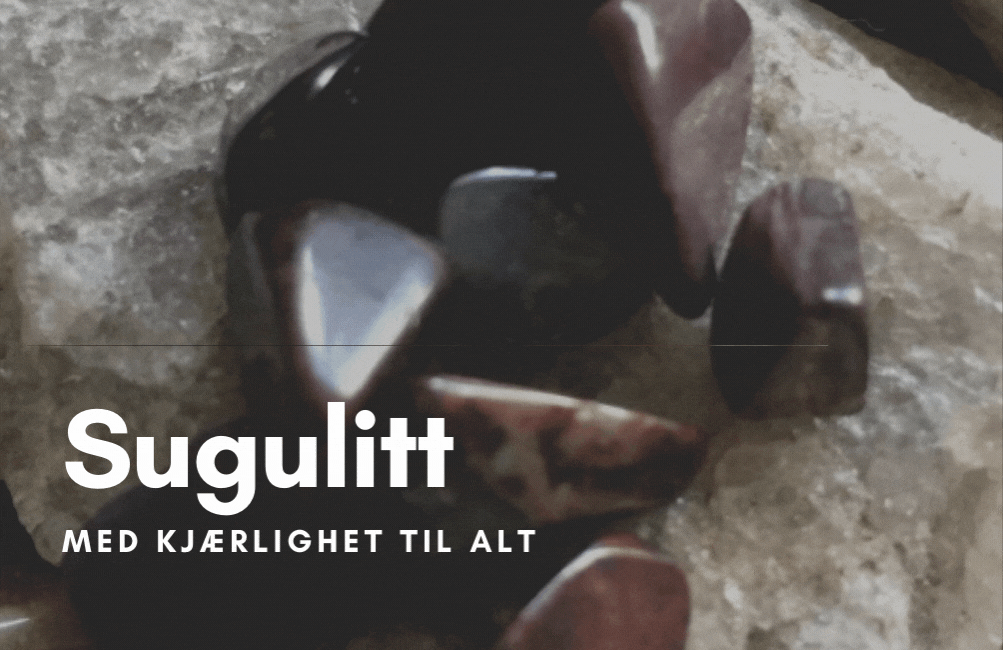 Sugulitt