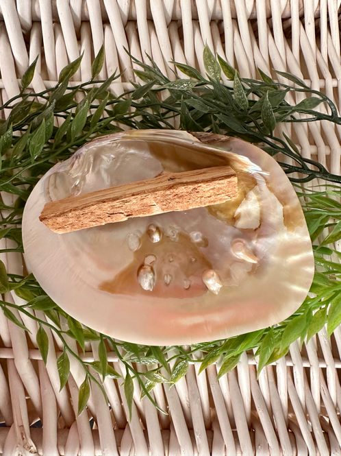 Hovedbilde Perleskjell m/Palo Santo