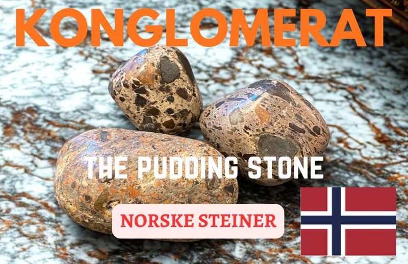 Konglomerat - The Pudding Stone 19gram - Kun 1 eksemplar