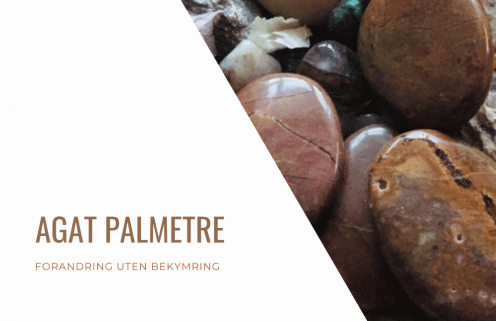 Hovedbilde Agat Palmetre