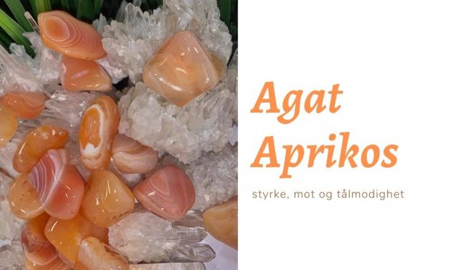 Hovedbilde Agat Aprikos