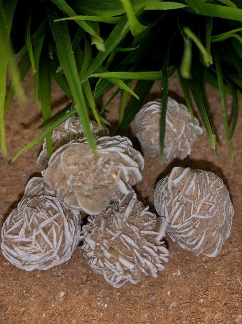 Hovedbilde Ørkenrose 5-10 gram
