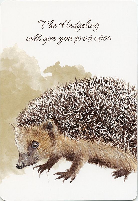 Power Animals Spirit Guides for Your Spiritual Life