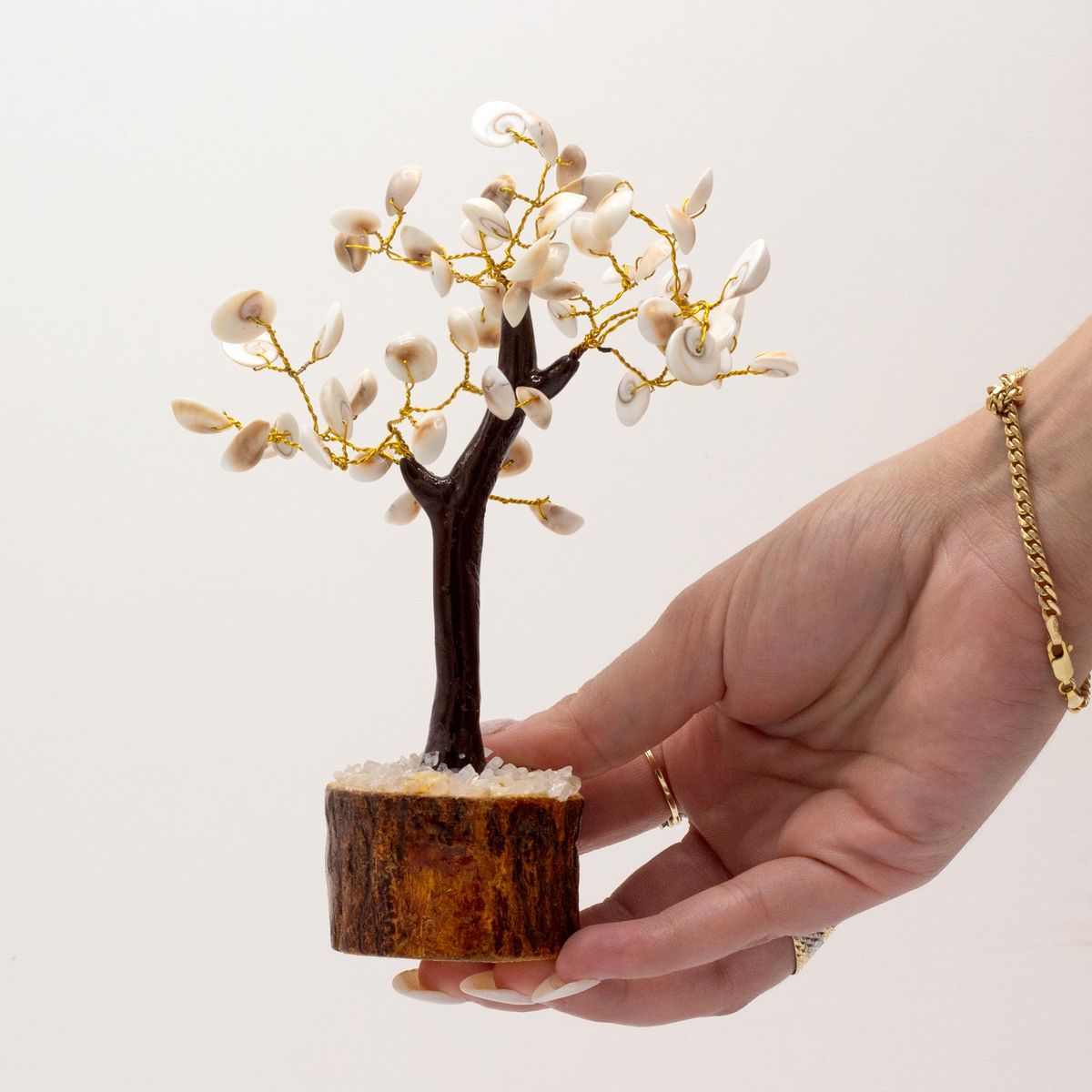 Gomati Tre 60 steiner