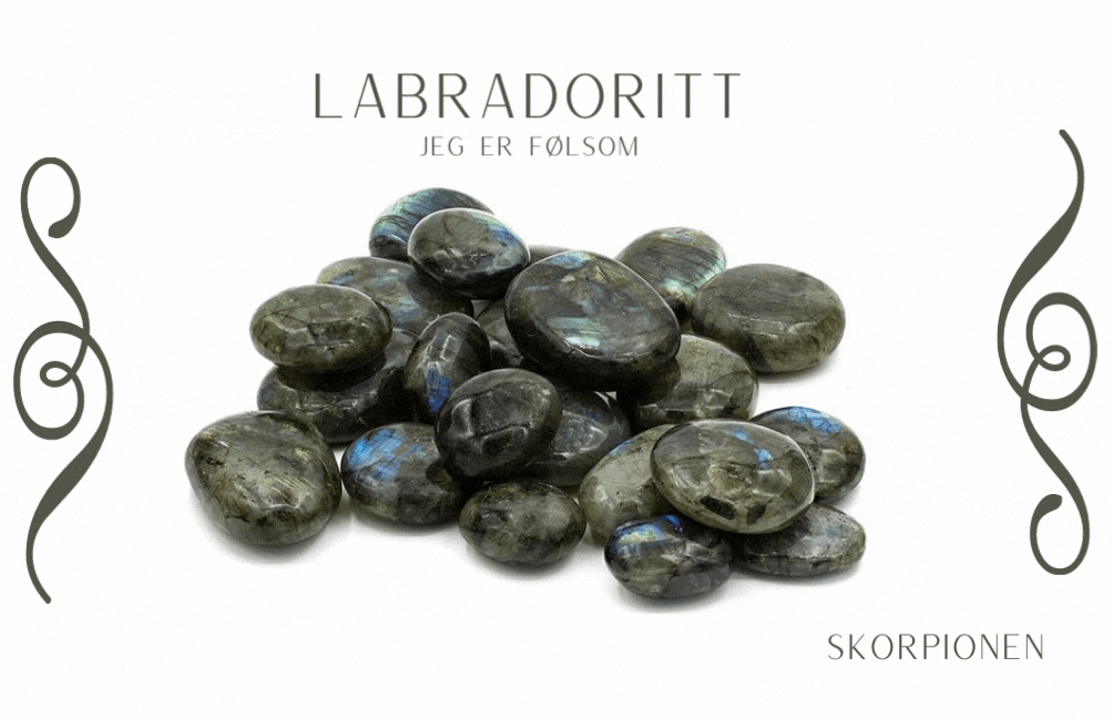 Labradoritt Justerbart Armbånd