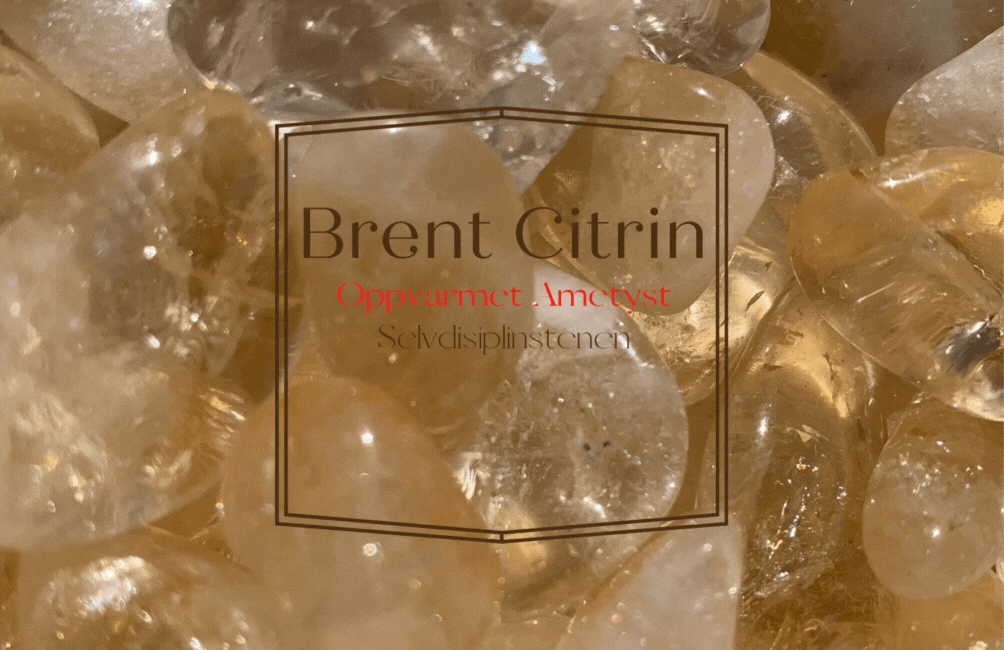 Citrin Brent XL - Oppvarmet Ametyst