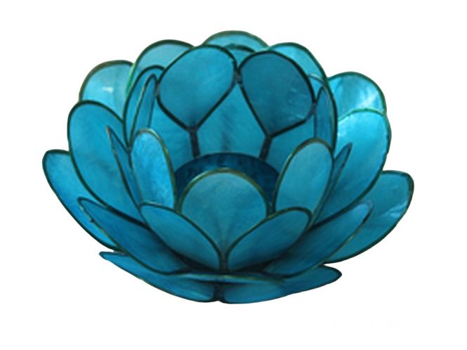 Hovedbilde Lotus Lys Light Aqua