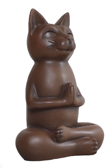 Hovedbilde Katt i Meditasjon