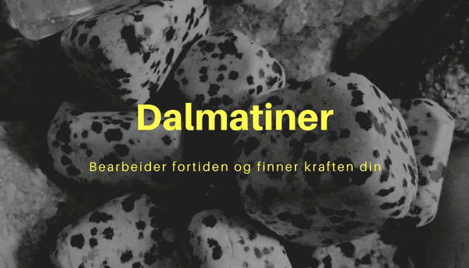 Hovedbilde Dalmatiner Kule 40mm