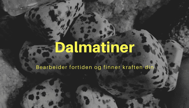 Dalmatiner Kule 40mm