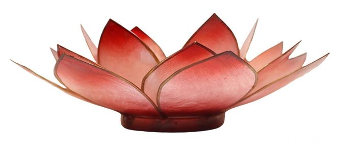 Hovedbilde Lotus Telys Stor Chakra 1 Rød