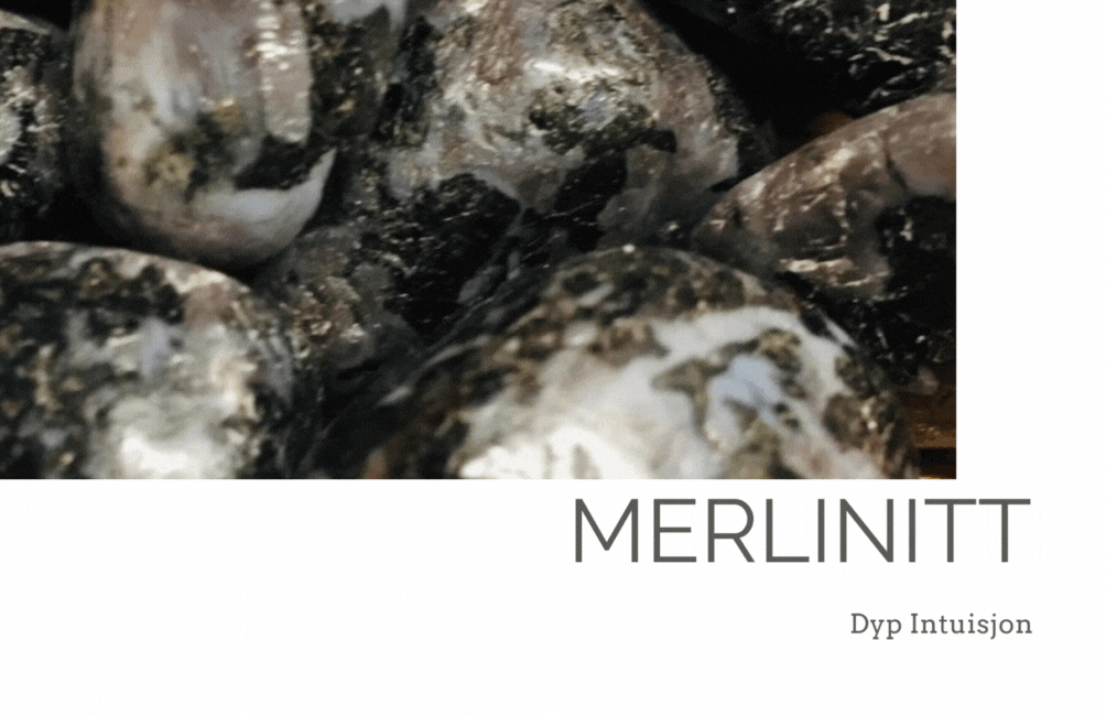 Hovedbilde Merlinitt