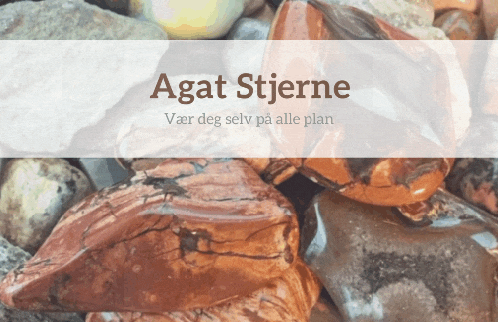 Agat Stjerne XL